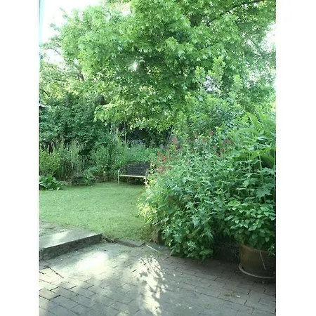 Holiday With Ambience 度假居 *